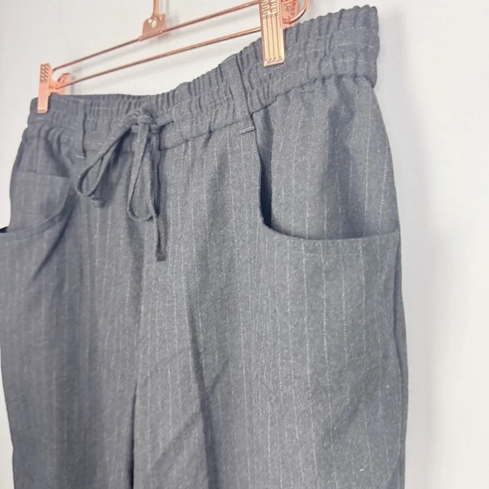 ZARA | Drawstring Waist Gray Pinstripe Print Pants Women’s Size 10